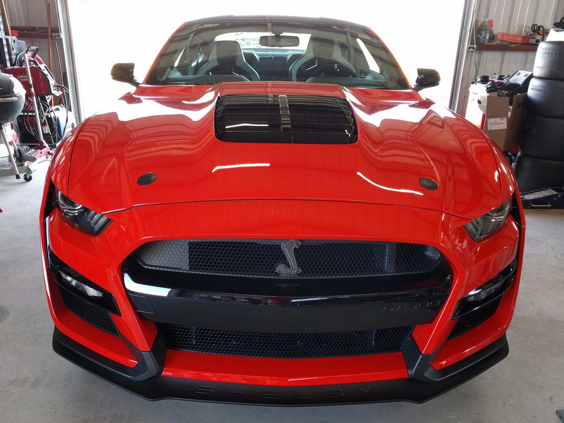 Ford Shelby GT500 Level 3 Paint Protection 3M Scotchgard Pro Series Clear Bra