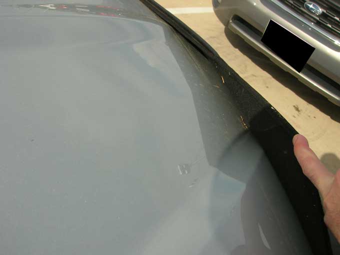 A traditional black bra cannot follow the contours of your vehicle